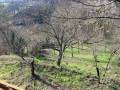 Terreno in vendita a GUIDONIA Via Del Cannettaccio foto 10 di 14