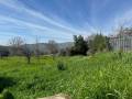 Terreno in vendita a CASTEL MADAMA Via Delle Cerqueta foto 2 di 6