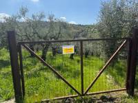 Terreno in vendita a CASTEL MADAMA su Localit Colle Mare foto 1 di 13
