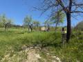 Terreno in vendita a CASTEL MADAMA Localit Colle Mare foto 4 di 13
