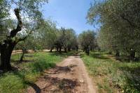 Terreno in vendita a  TIVOLI su Colli Di Santo Stefano foto 1 di 10