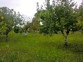Villa in vendita a BRACCIANO Via Della Machia foto 1 di 12