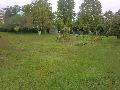 Villa in vendita a BRACCIANO Via Della Machia foto 11 di 12