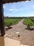Villa in vendita a CERVETERI Prato Grande foto 9 di 12