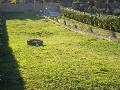  in vendita a CERVETERI Di Gricciano foto 7 di 11