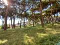 Appartamento in vendita a SAN POLO DEI CAVALIERI Via Della Pineta foto 1 di 12