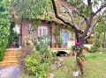 Villa Bifamiliare - Intera Pro in vendita a ROMA Via Senofane foto 4 di 12