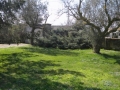 Villa in vendita a APRILIA  foto 6 di 10