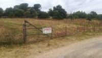 vendita Terreno Agricolo
              a CERVETERI Via dell'Ovile