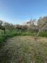 Terreno in vendita a  TIVOLI - VILLA ADRIANA Via Fedro foto 1 di 6