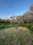 Terreno in vendita a  TIVOLI - VILLA ADRIANA Via Fedro foto 2 di 6