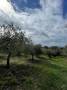 Terreno in vendita a CASTEL MADAMA Strada Della Stazione foto 7 di 16