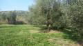 Terreno in vendita a GUIDONIA Via Birago foto 6 di 8