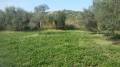 Terreno in vendita a GUIDONIA Via Birago foto 7 di 8