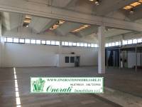 Capannone in affitto a GUIDONIA su Mq 1360 Guidonia Zona Industriale Rif.a-960 foto 1 di 15