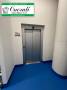 Box / Garage in affitto a  ROMA Viale Della Moschea foto 11 di 16