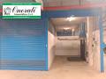 Box / Garage in affitto a  ROMA Viale Della Moschea foto 5 di 16