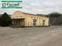 vendita Capannone a ORTE MQ 540 ORTE (VT), ZONA CENTRO SU STRADA PRINCIPALE, Rif.V-656.